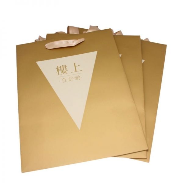 elegant shopping bag with ribbon handles