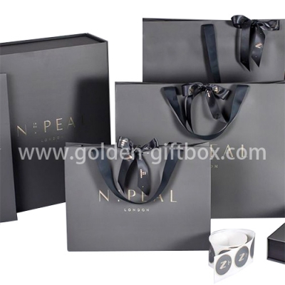 Elegant silver paper bag with ribbon handle and ribbon bow