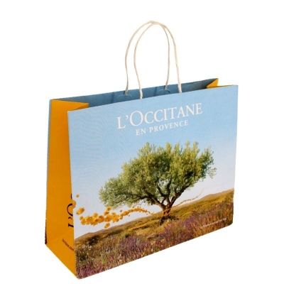 White kraft paper bag colourful printing shopping bag with twisted paper string handles