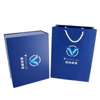 Promotional paper bag and gift box set customized printing with shiny silver hot stamping logo 
